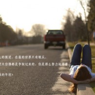 澳门近15期历史开奖记录